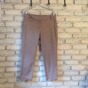 Ann Taylor Loft Chino